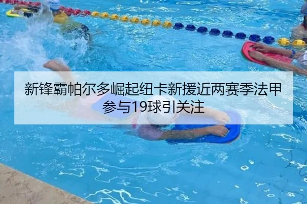 新锋霸帕尔多崛起纽卡新援近两赛季法甲参与19球引关注